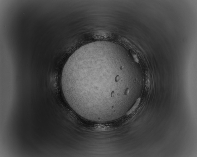 X0000100310616200806190944