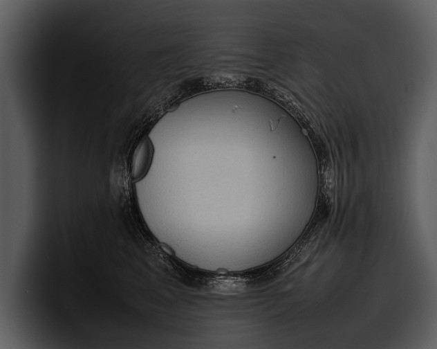 X0000100310617200806190944