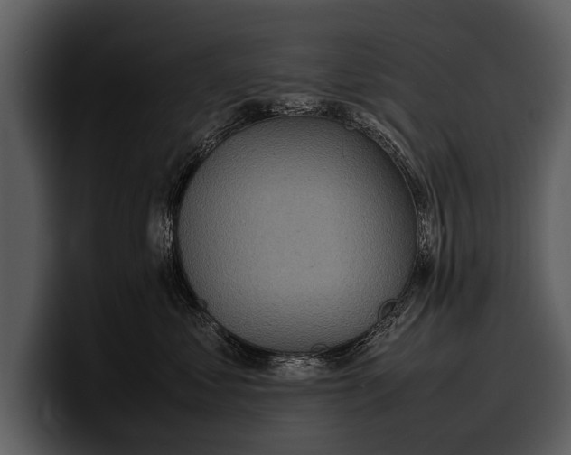 X0000100310621200806190943