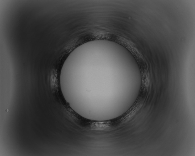 X0000100310622200806190943