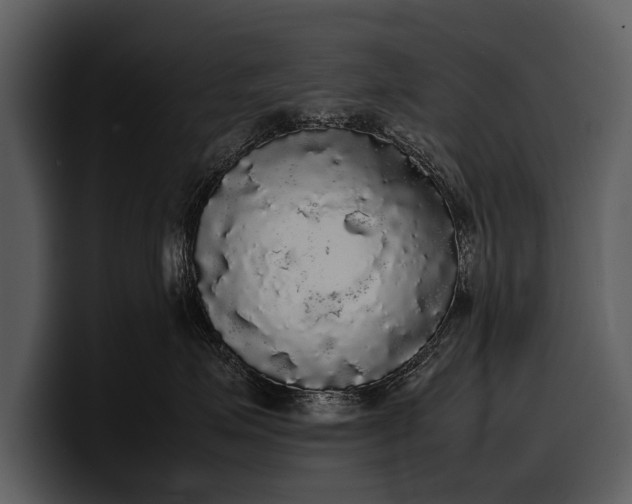 X0000100310623200806190943