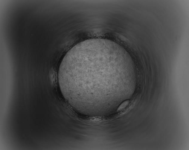 X0000100310624200806190943