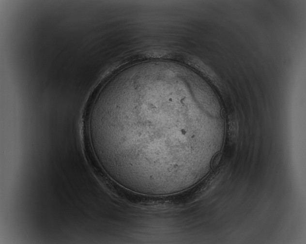 X0000100310626200806190943