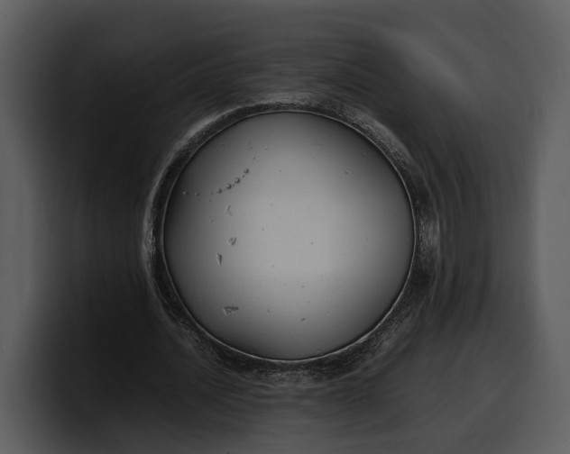 X0000100310628200806190943