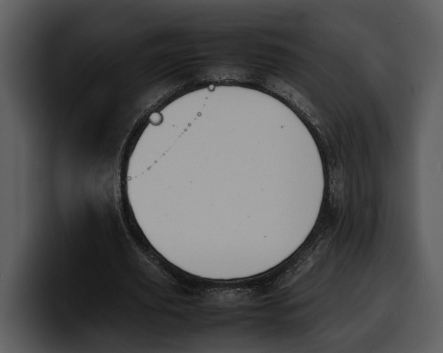 X0000100310629200806190943