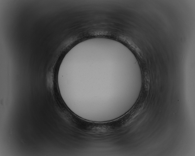 X0000100310631200806190943