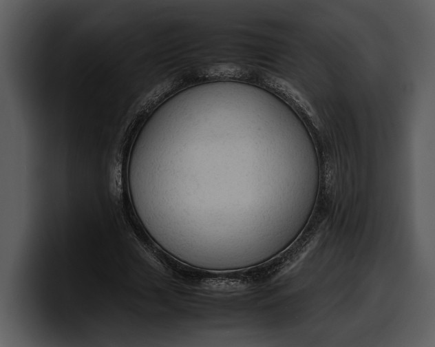 X0000100310633200806190943