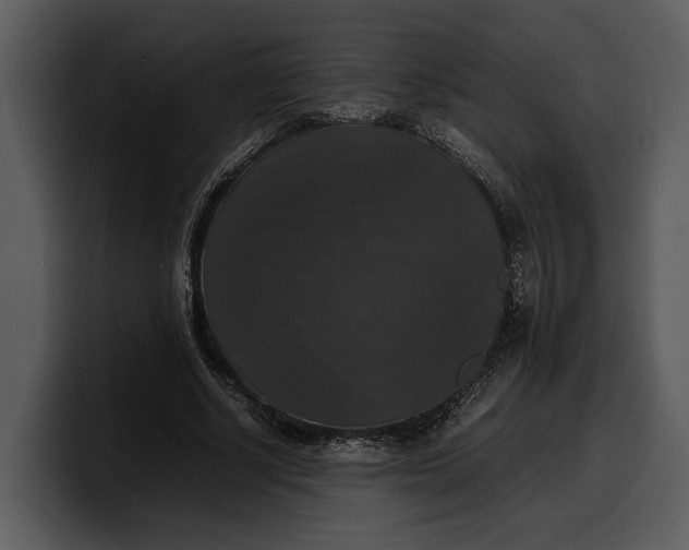 X0000100310634200806190943
