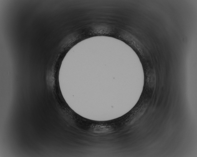 X0000100310635200806190943