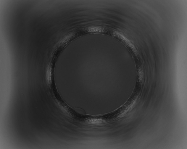 X0000100310637200806190943
