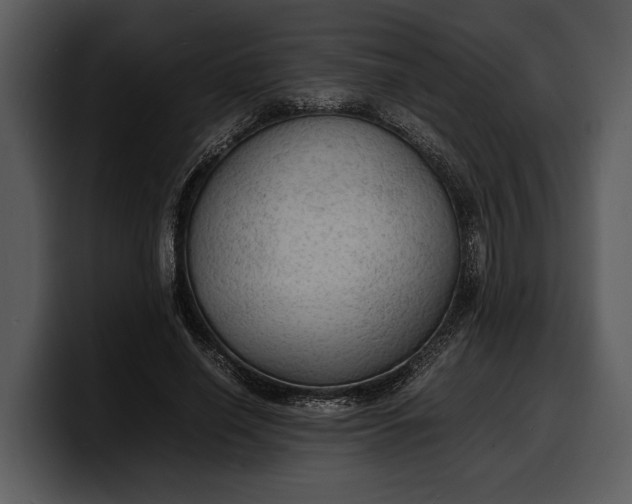 X0000100310638200806190943