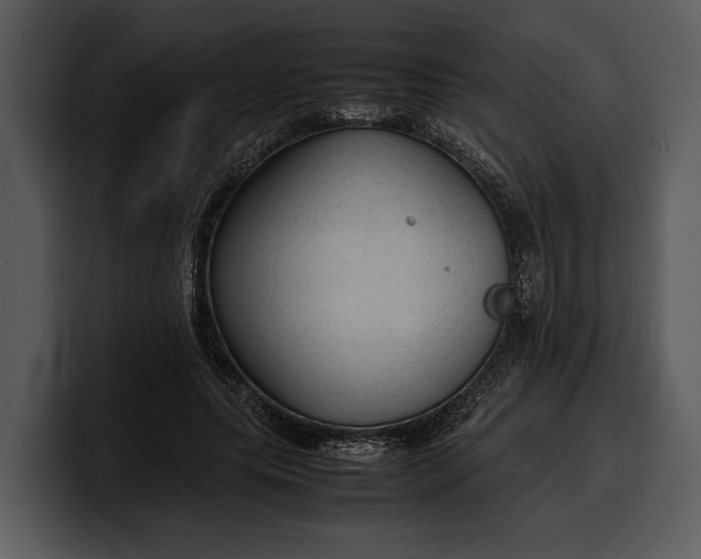 X0000100310639200806190943