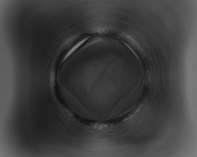 X0000100310640200806190943
