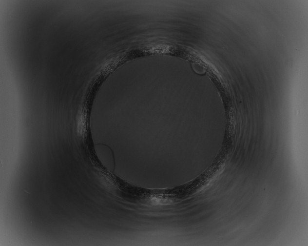 X0000100310641200806190943