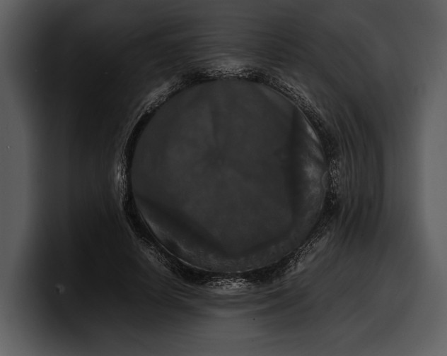 X0000100310642200806190943