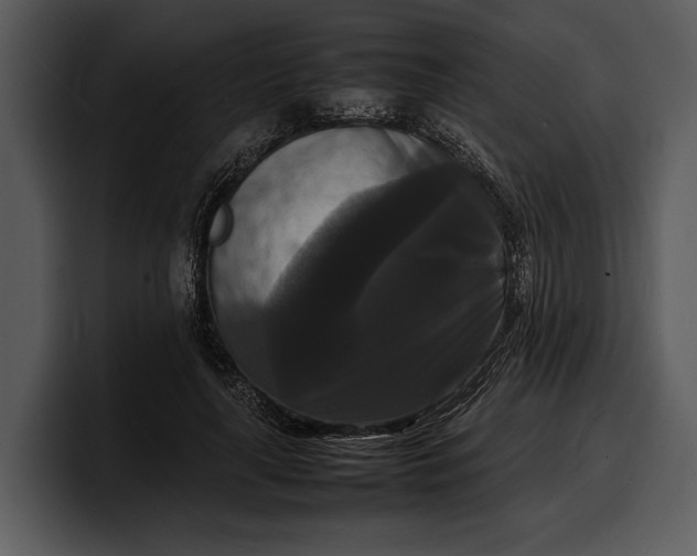 X0000100310643200806190943