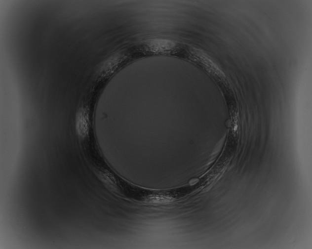 X0000100310644200806190943