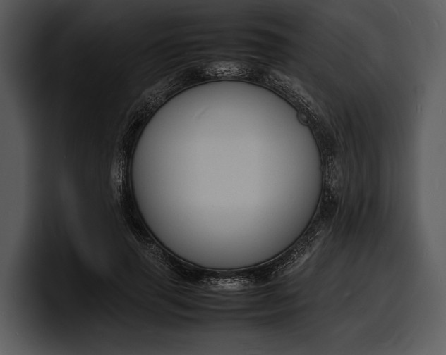 X0000100310645200806190943