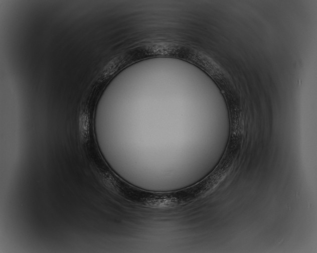 X0000100310646200806190943