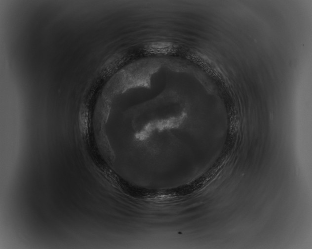 X0000100310647200806190943