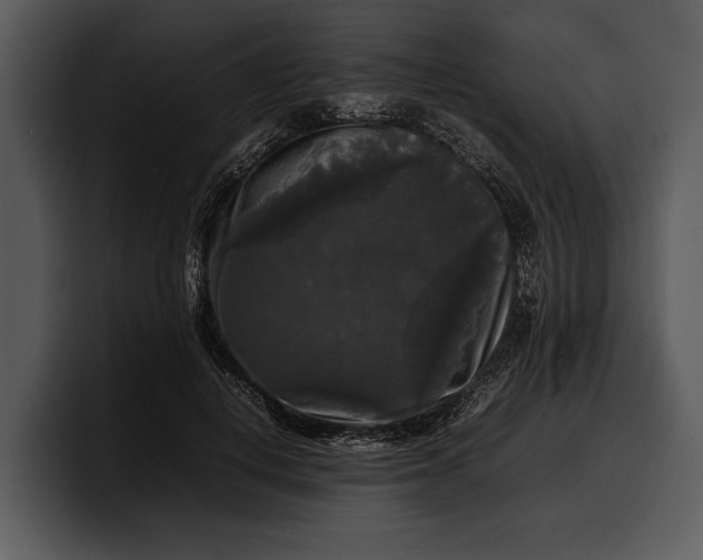 X0000100310648200806190943
