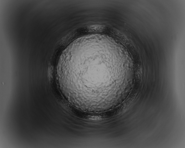 X0000100310649200806190943