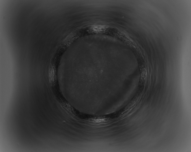 X0000100310651200806190943