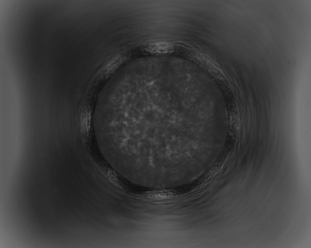 X0000100310652200806190943