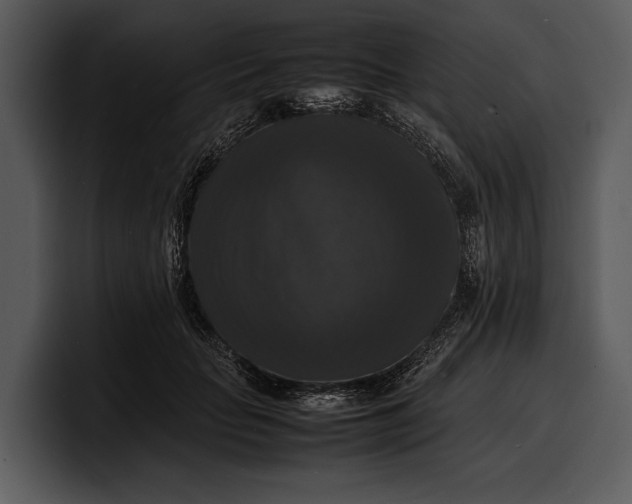 X0000100310653200806190943
