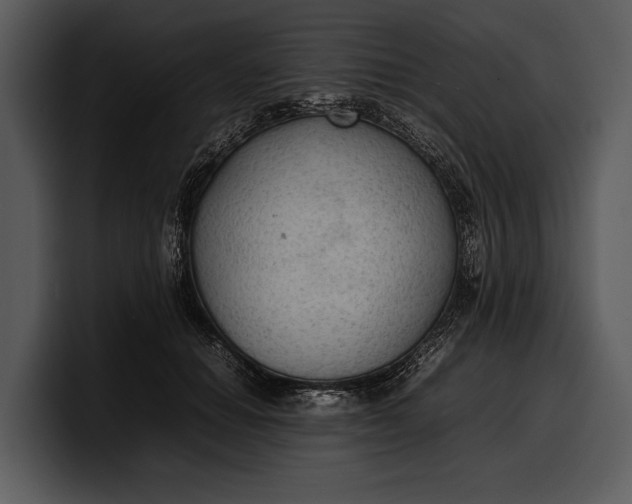 X0000100310654200806190943