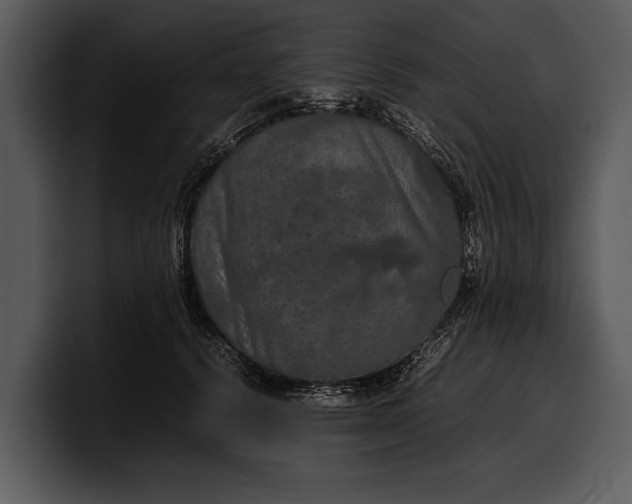 X0000100310656200806190943