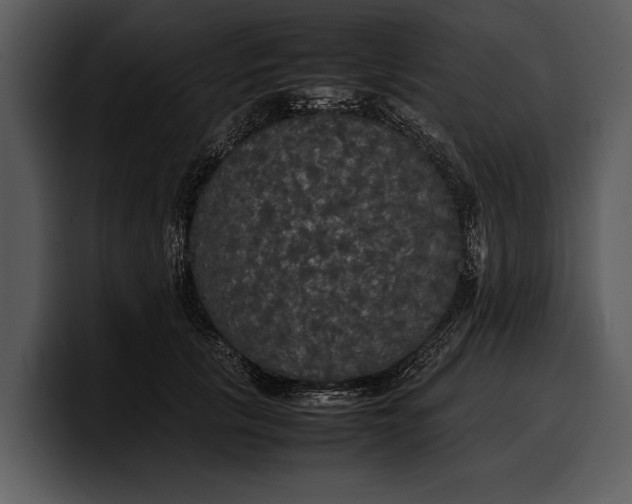 X0000100310657200806190943