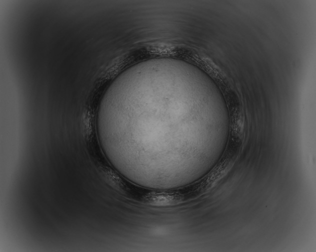 X0000100310658200806190943