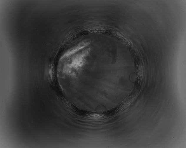 X0000100310659200806190943