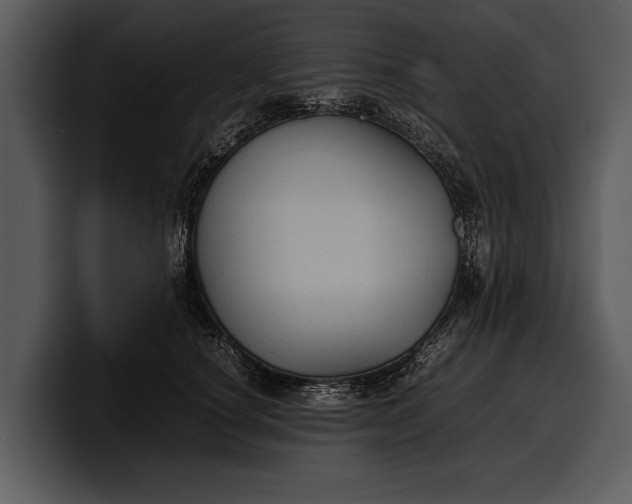 X0000100310660200806190943