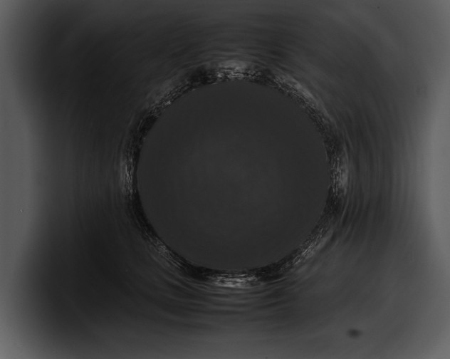 X0000100310661200806190943