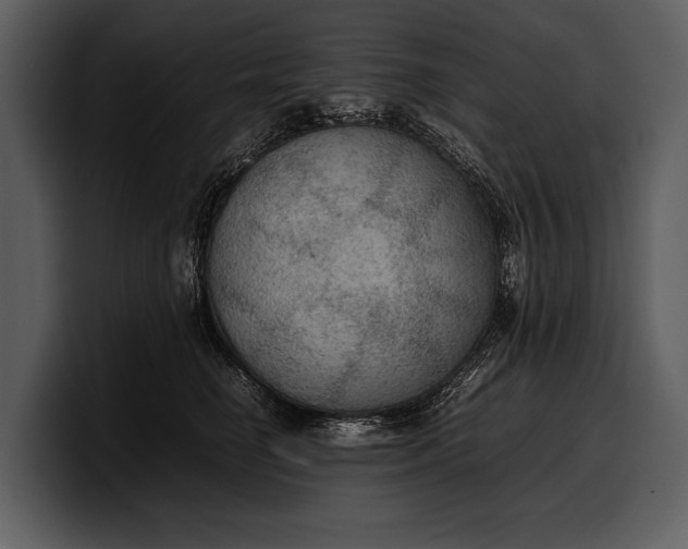 X0000100310662200806190943