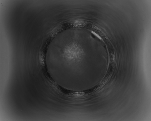 X0000100310663200806190943