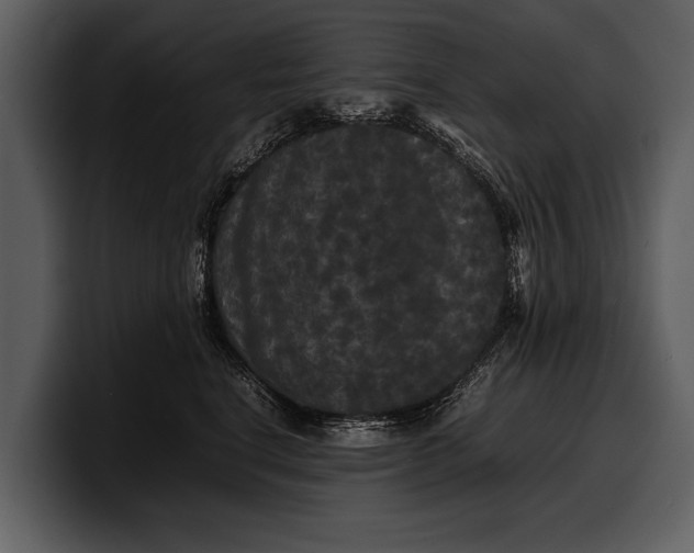 X0000100310664200806190943