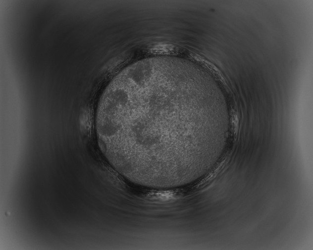 X0000100310665200806190943