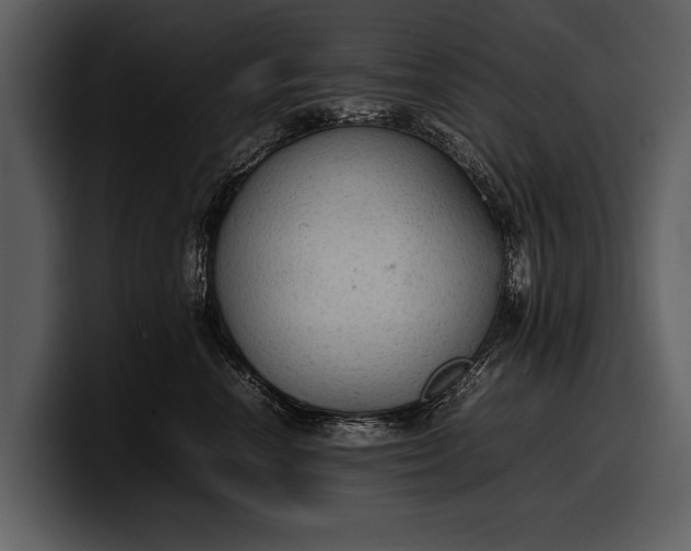 X0000100310666200806190943