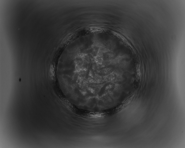 X0000100310667200806190943