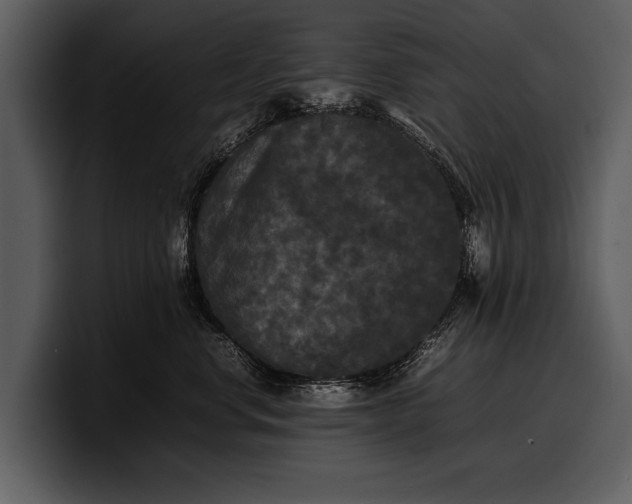 X0000100310668200806190943