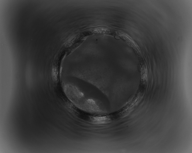 X0000100310669200806190943