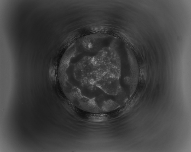 X0000100310671200806190943