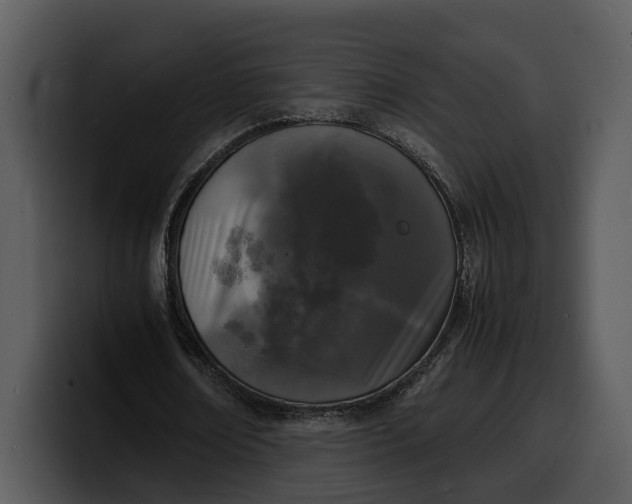 X0000100310674200806190943