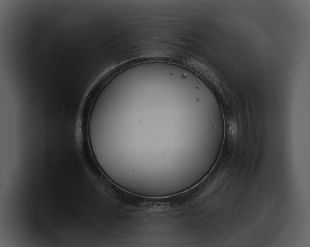 X0000100310676200806190943
