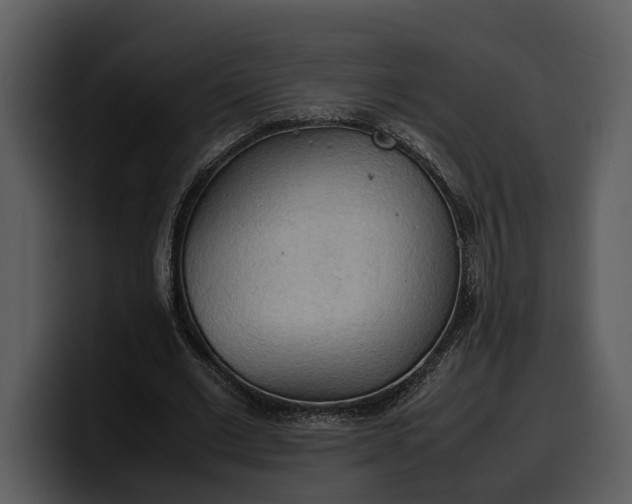X0000100310677200806190943