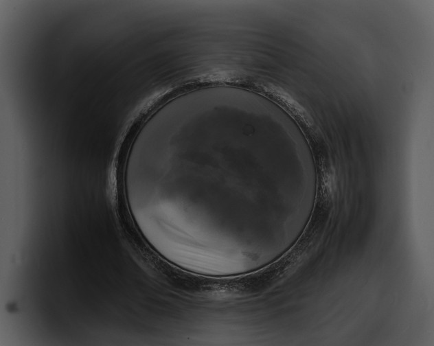 X0000100310678200806190943