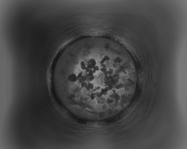 X0000100310679200806190943